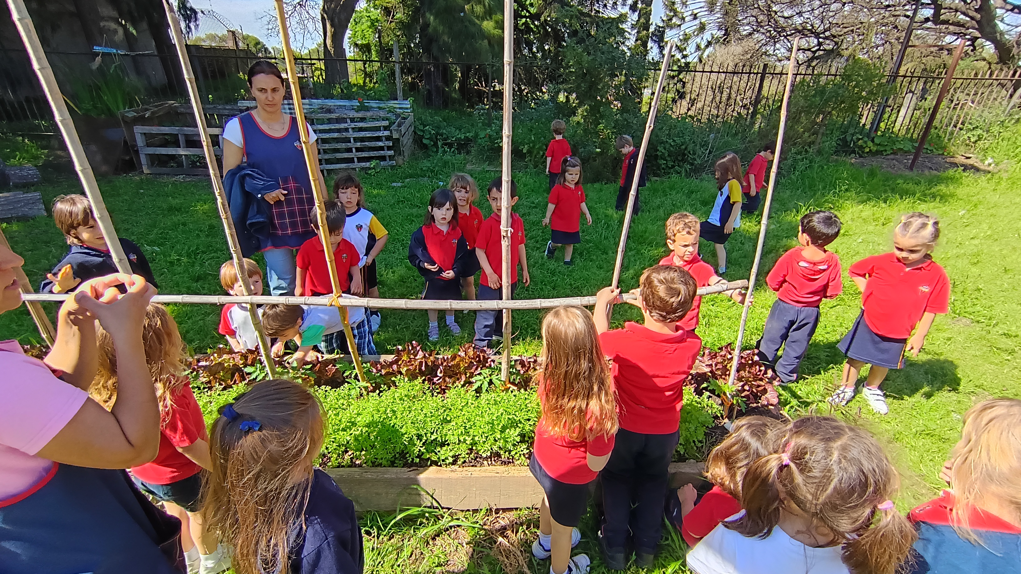 Jardin de infantes 