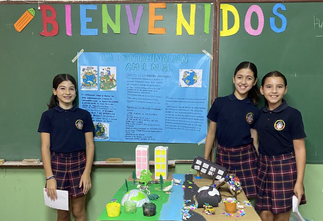 Foto de la galería 6